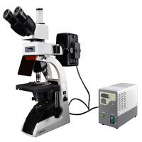 Fluorescence Biological Microscope MFBM-2B