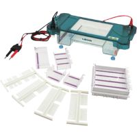 Horizontal Electrophoresis Unit MHEU-2C